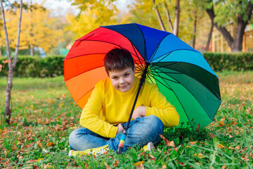 Cute boy dressed in yellow long sleeve sitting on the grass under a colorful umbrella. A child in the autumn park posing with rainbow umbrella.