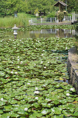 日本、神奈川県、横浜市本牧の庭園　2024年8月