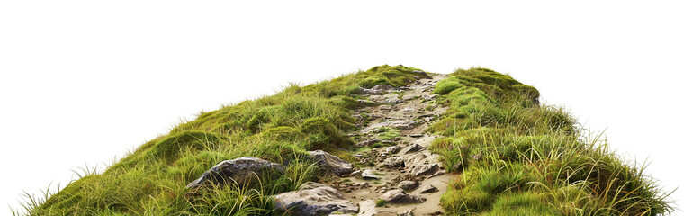 Scenic mountain hiking trail through lush greenery and rocky terrain, cut out
