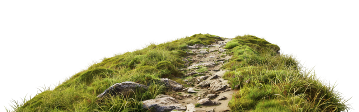 Scenic mountain hiking trail through lush greenery and rocky terrain, cut out