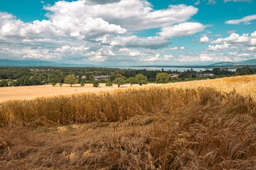 vue sur la campagne de Tournay, Chambésy et le lac Léman