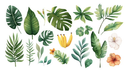 Summer Botanical Watercolor Leaves and Flowers Set for Vibrant Designs