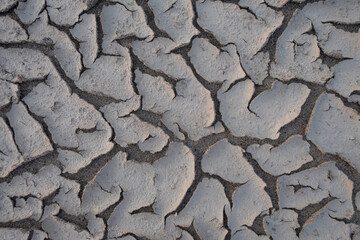 Parched ground barren land drought