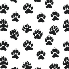 Dog paws isolated on transparent background