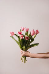Graceful woman's hand delicately holding a charming bouquet of vibrant pink tulips. Elegance, beauty and springtime joy