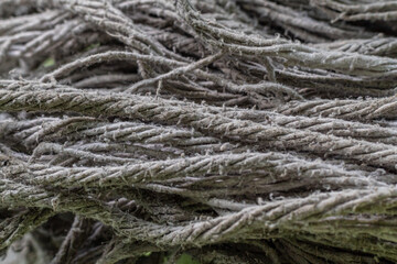 texture of mop cloth close up, abstract background mopping the floor