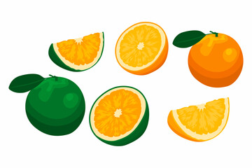Set Of A Fresh Orange Fruit