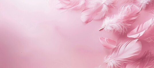 Pink pens with text space with blurred background