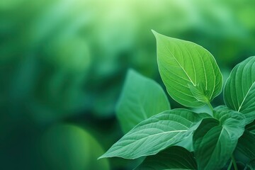 Modern close up of leaves on blurred green background. Premium background for banners or posters with generative ai