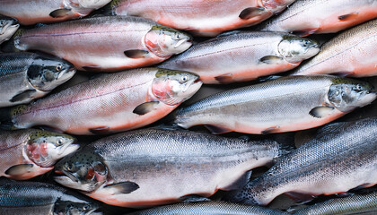 Obraz premium Freshly caught salmon lie next to each other in a symmetrical pattern as a background.