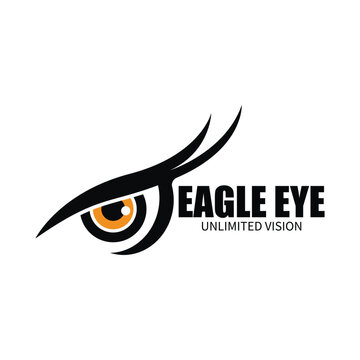 eagle eye logo icon vector illustration template design