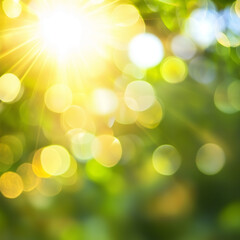 The image captures a sunburst through leaves, illuminating with radiant light and vibrant green color, along with a magical bokeh effect in the background signifying peace.