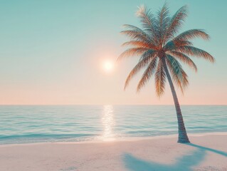 Palm Tree on Beach