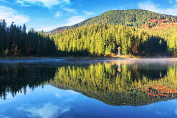 landscape by the lake in the early morning. coniferous forest on the shore and mountain hills of synevyr national park in autumn. famouse place in ukraine