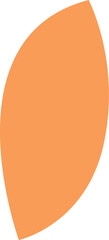 Simple, orange, asymmetrical rounded oblong shape on a white background