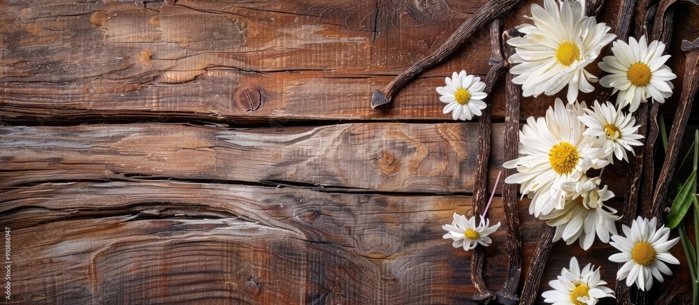 Poster wooden background with vanilla sticks and flowers for a flat lay composition with room for text in a