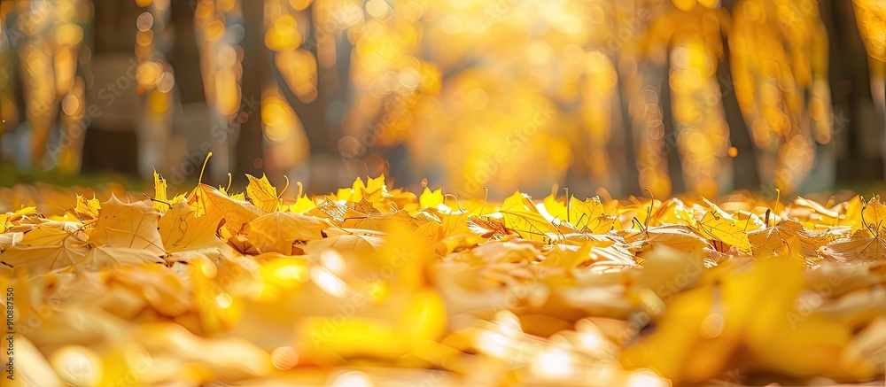 Poster yellow leaves blanket the fall park creating a picturesque scene with ample copy space image