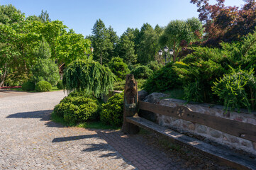 park with green plants and a road made of stones
