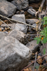 Water through rocks