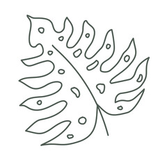 Illustration leaf flower plant elements decoration design art drawing icons frame floral colorful