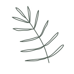 Illustration leaf flower plant elements decoration design art drawing icons frame floral colorful