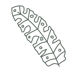 Illustration leaf flower plant elements decoration design art drawing icons frame floral colorful