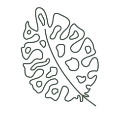 Illustration leaf flower plant elements decoration design art drawing icons frame floral colorful