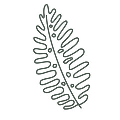 Illustration leaf flower plant elements decoration design art drawing icons frame floral colorful