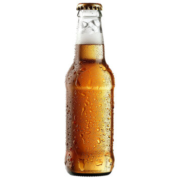 recommend clip art: Beer bottle with ice clip art