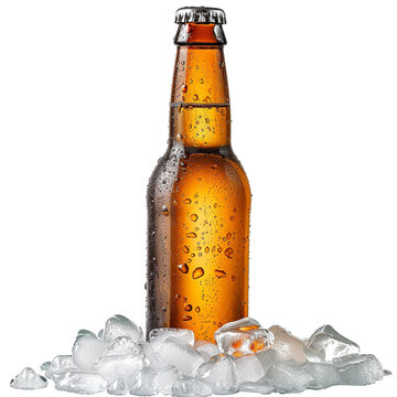 recommend clip art: Beer bottle with ice clip art