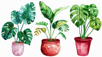 Fototapeta premium Vibrant watercolor plants in pots showcase indoor and outdoor beauty. Ideal for invitations, cards, and stylish prints.