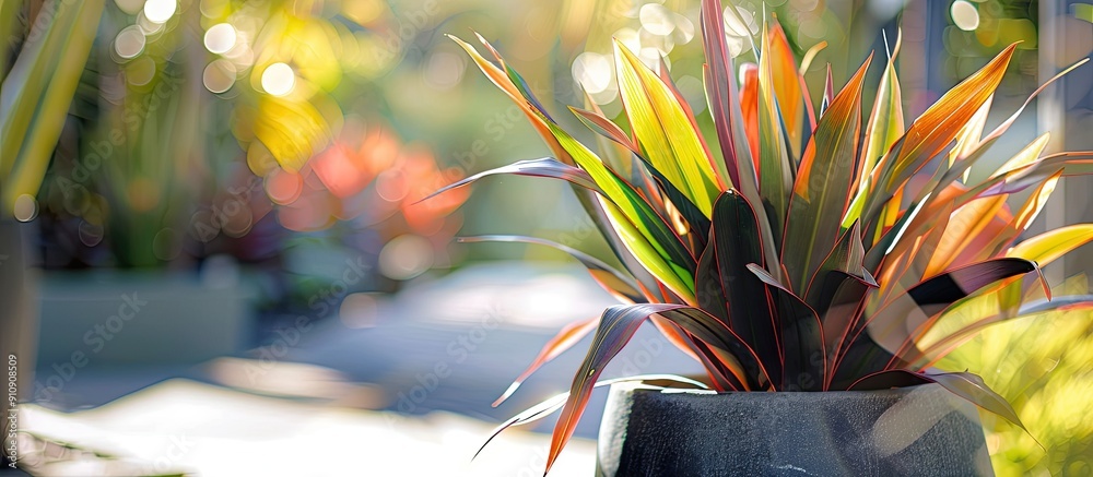 Poster phormium commonly known as new zealand flax thrives in a potted environment with copy space image po
