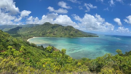 Tropical ocean and mountain view © Mackenzie