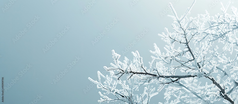 Poster Frosted branches with plenty of copy space on the background image