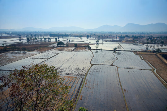 Farmers release water into their fields to plant rice during the growing season.