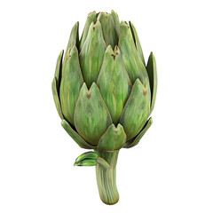 artichoke isolated on white background