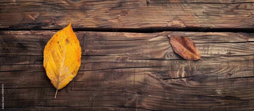 Poster A yellow leaf on a rustic table with copy space image