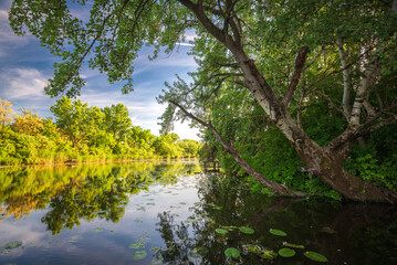 Raba backwater in spring, Gyirmot, Gyor, Hungary