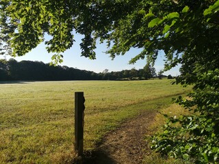 countryside morning field