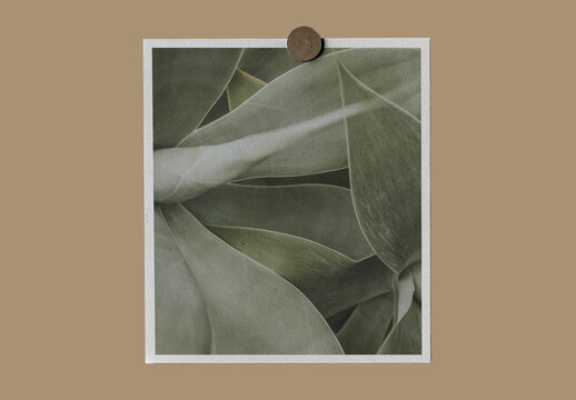 Stationery Notepaper With Push Pin Mockup