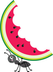Cute ant carrying a slice of eaten watermelon