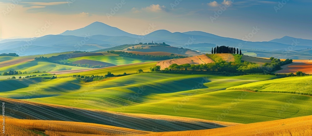 Poster Scenic hilly landscapes with wheat fields adding color to the countryside ideal for a copy space image