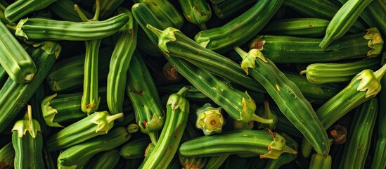 Obraz premium Okra showing green and yellow hues against a blank backdrop creating copy space image