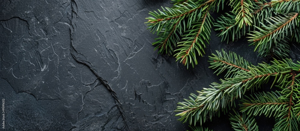Poster copy space image featuring fir tree branches against a black slate backdrop for christmas or new yea