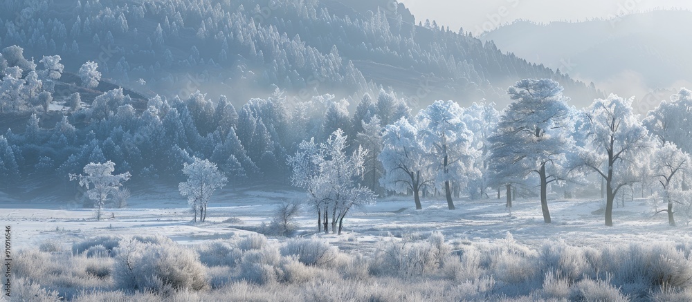 Leinwandbilder winter landscape with frosty trees and a mountain view suitable for a copy space image