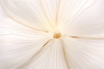 Macro photography of a garlic clove, capturing intricate details.