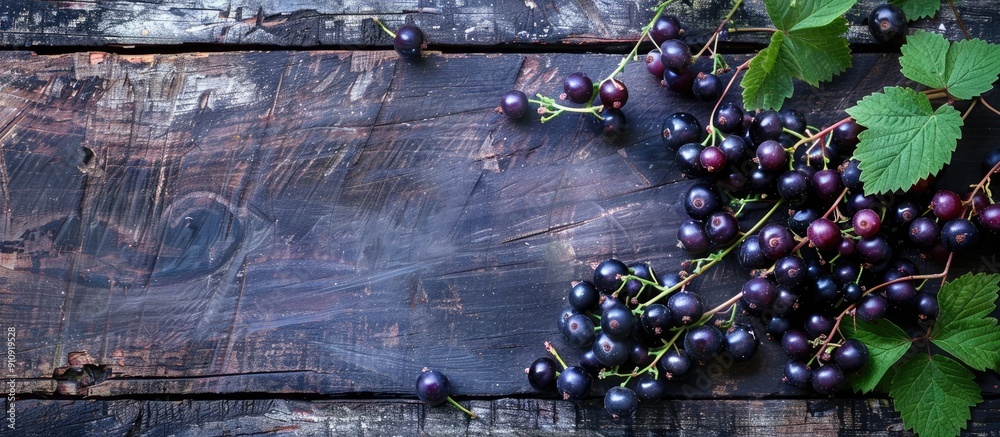 Poster Wooden rustic table with ripe blackcurrants leaves and a clear area for text ideal for a copy space image
