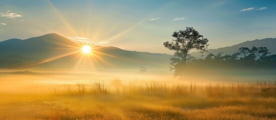 Scenic sunrise with copy space image