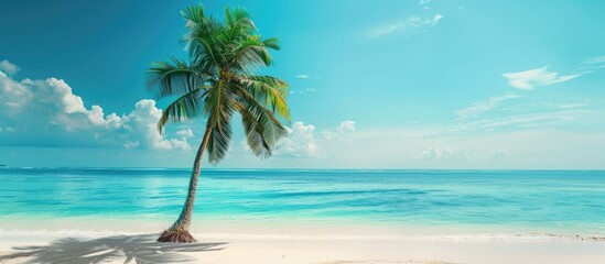 Naklejka premium A palm tree on a pristine beach with azure waters creating a serene scene with copy space image