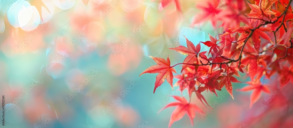 Leinwandbilder nature background featuring red maple leaves in autumn on a blurred background with copy space image
